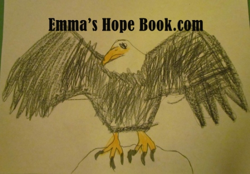 Emma's Eagle ~ January 29th, 2014